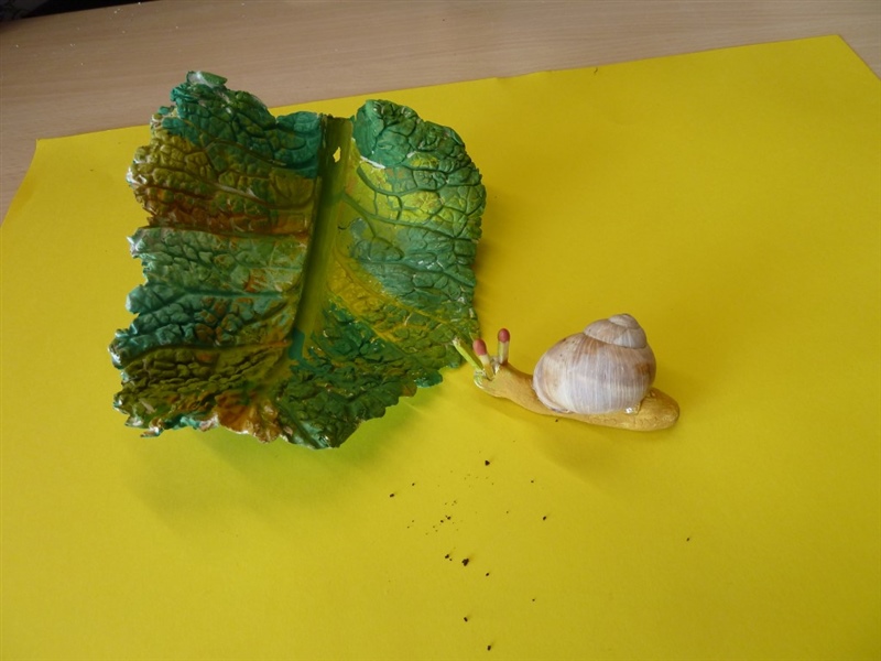 Schnecken cycle 2.1 201314 10